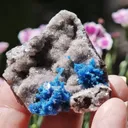 Cavansite var. Pentagonite from India.Bright blue bursting, snowflake like Pentagonite crystals w/ Stilbite on a sparkling Heulandite matrix - image 3