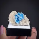 Cavansite with Calcite - image 2