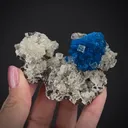 Cavansite with Calcite on Calcite - image 2
