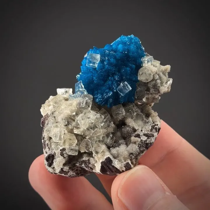 Cavansite with Calcite on Calcite image