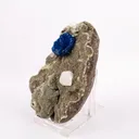 Cavansite with Coated Calcite Natural Mineral Specimen - image 2