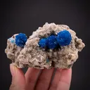 Cavansite with Stilbite - image 1