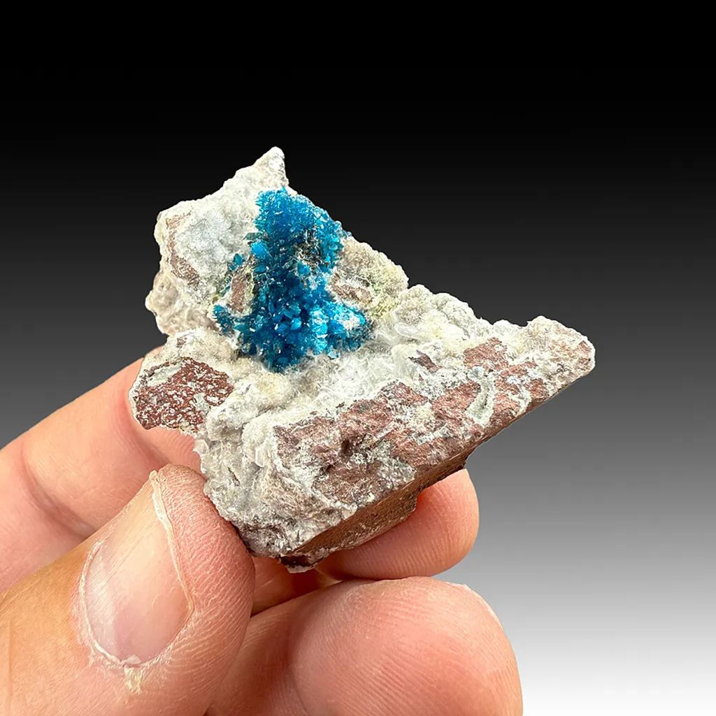 Cavansite with Stilbite image