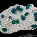 Cavansite with Stilbite - image 6