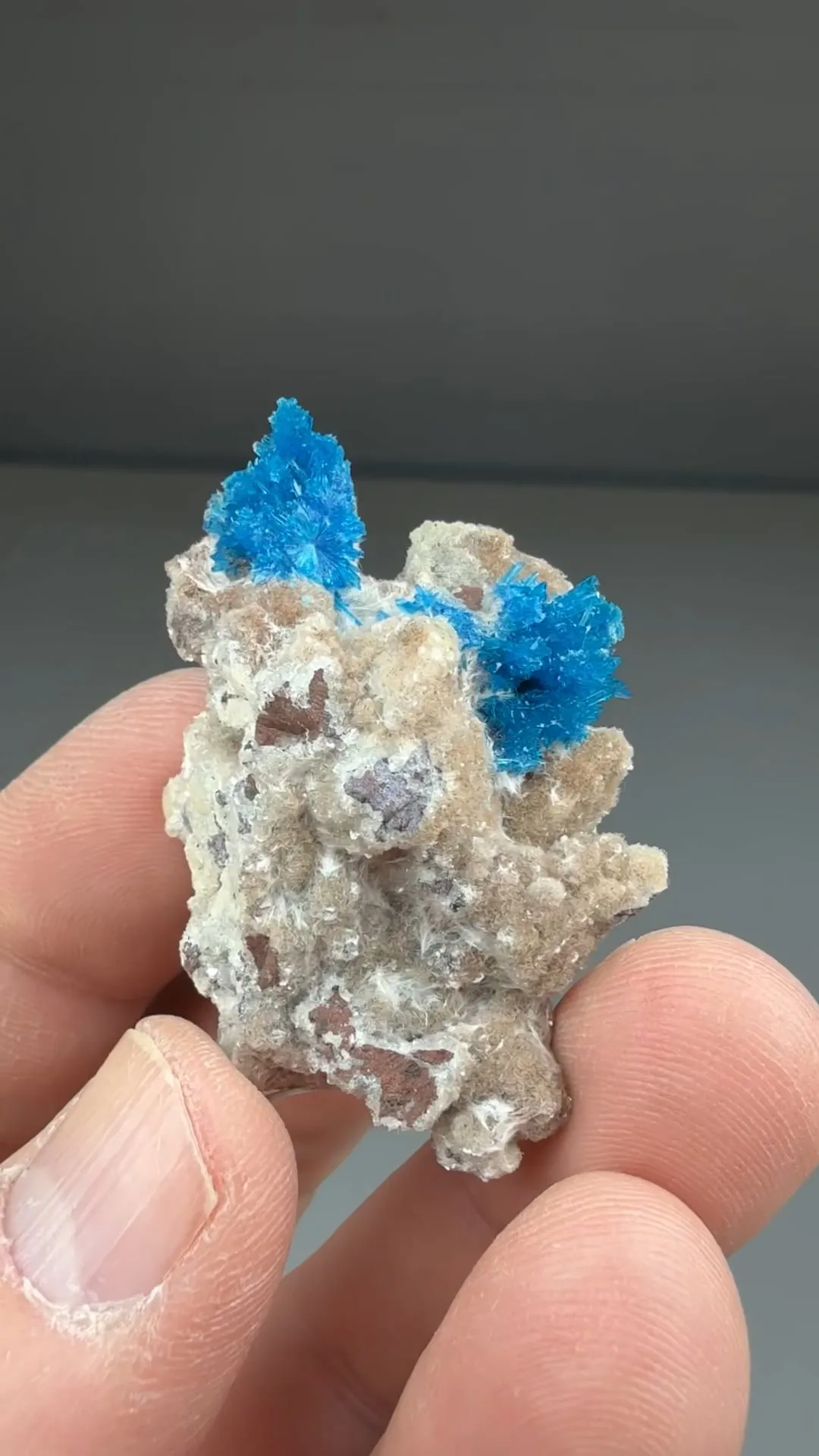 Cavansite with Stilbite - image 2