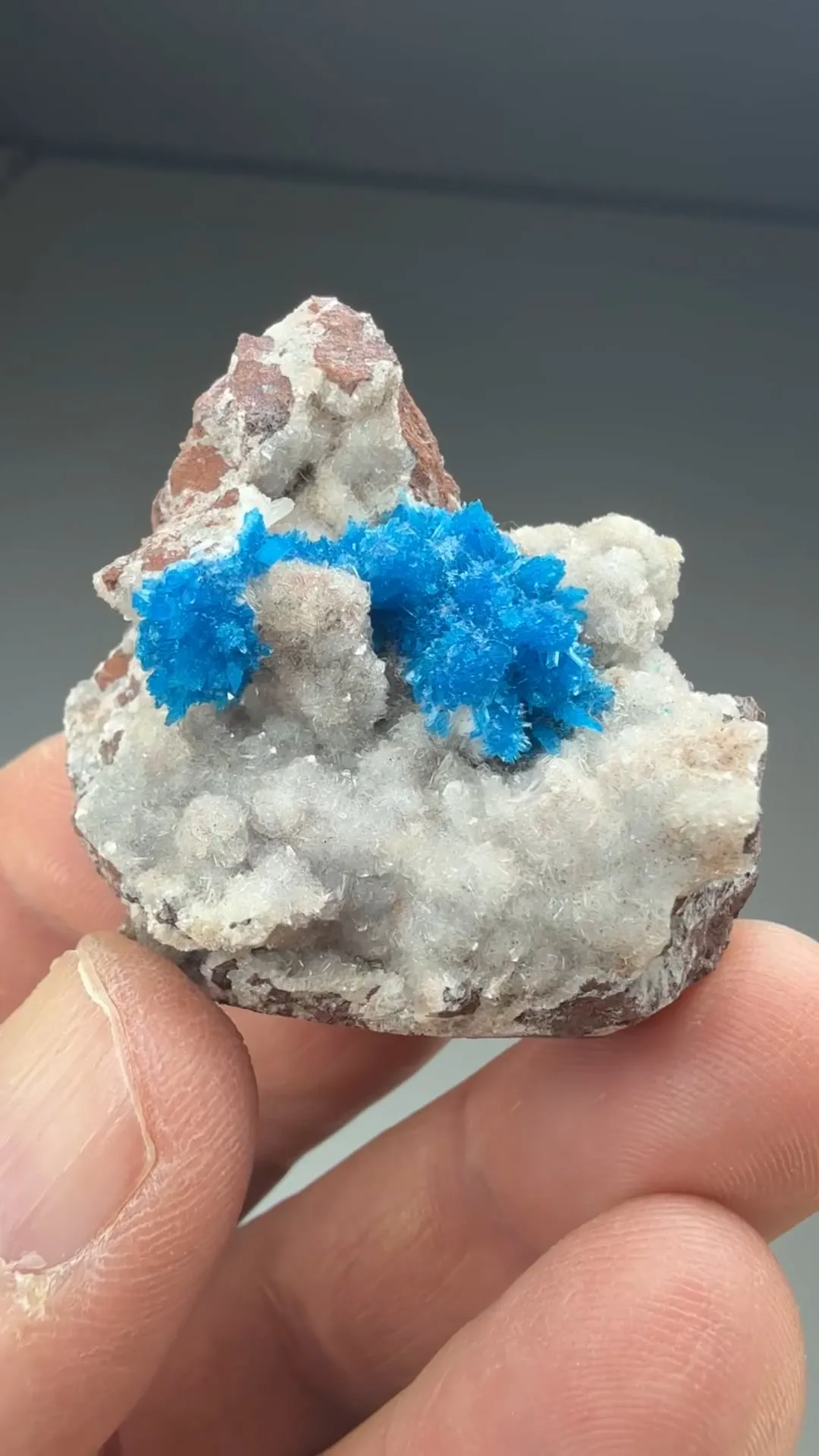 Cavansite with Stilbite - image 2