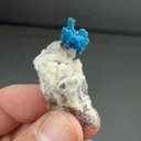 Cavansite with Stilbite - image 2
