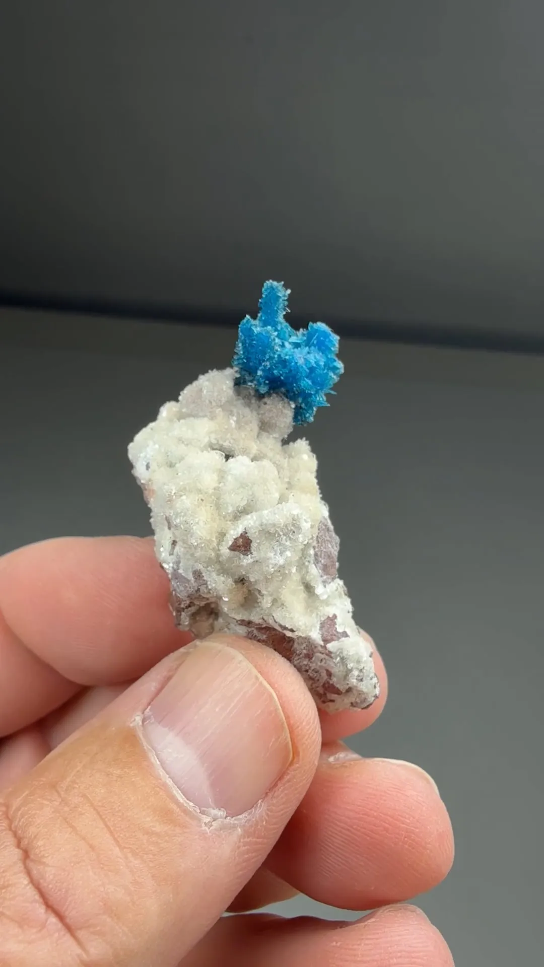 Cavansite with Stilbite - image 2