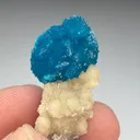 Cavansite with Stilbite - image 2