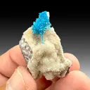 Cavansite with Stilbite - image 1