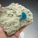 Cavansite with Stilbite - image 2