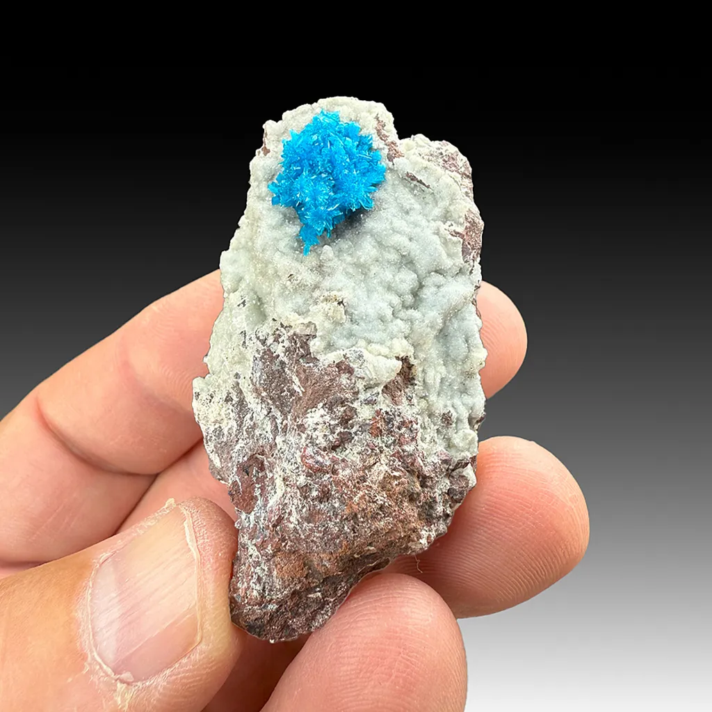 Cavansite with Stilbite image