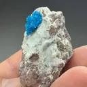 Cavansite with Stilbite - image 2