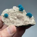 Cavansite with Stilbite - image 2