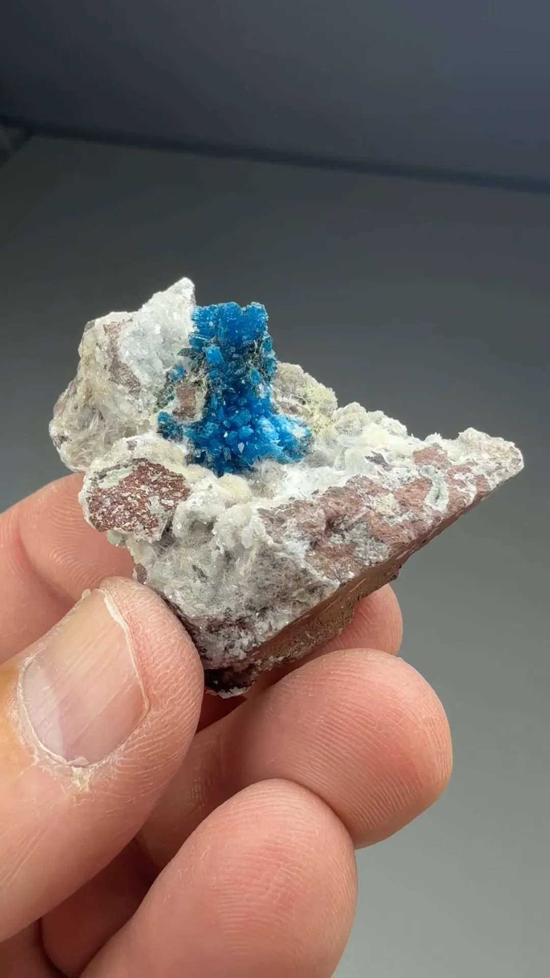 Cavansite with Stilbite - image 2