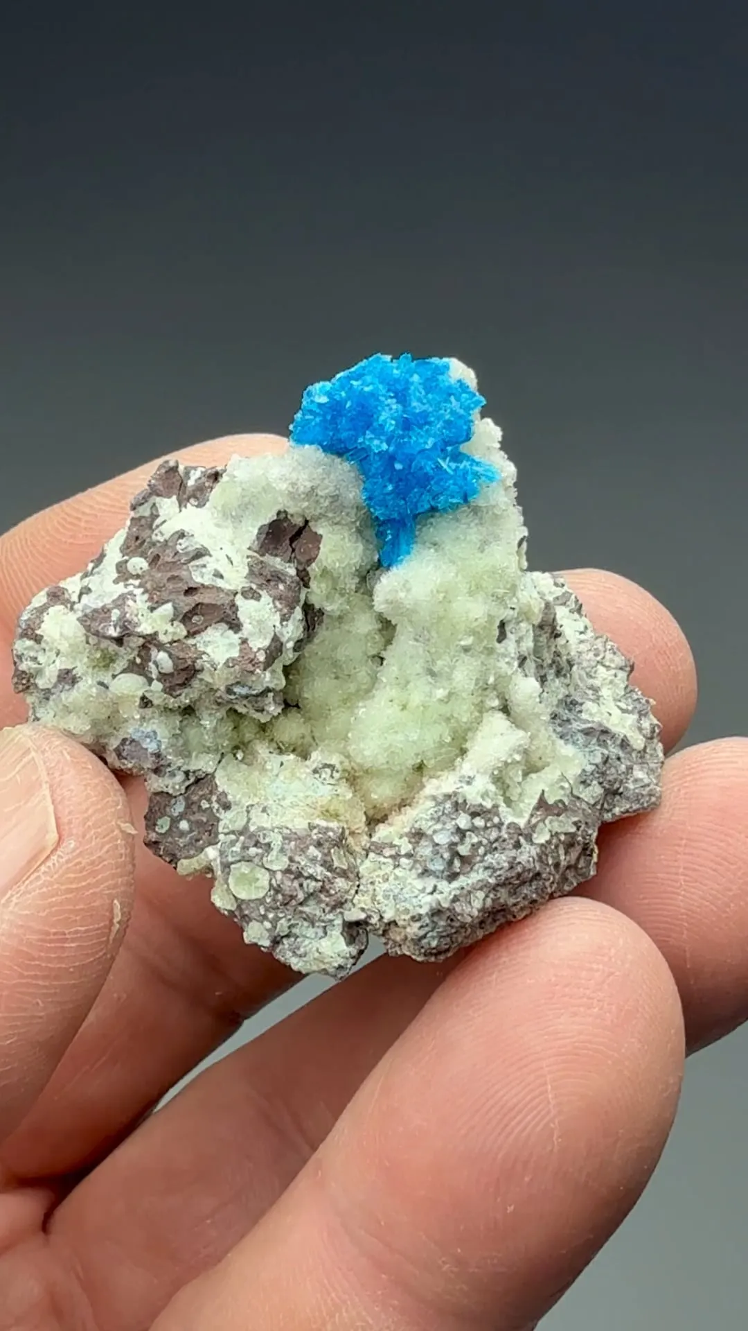 Cavansite with Stilbite - image 2