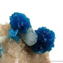 Cavansite With Stilbite - image 2