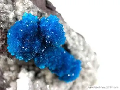 Cavansite Worm image