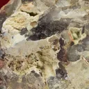 Caysichite-(Y) (type locality) on Quartz - image 2