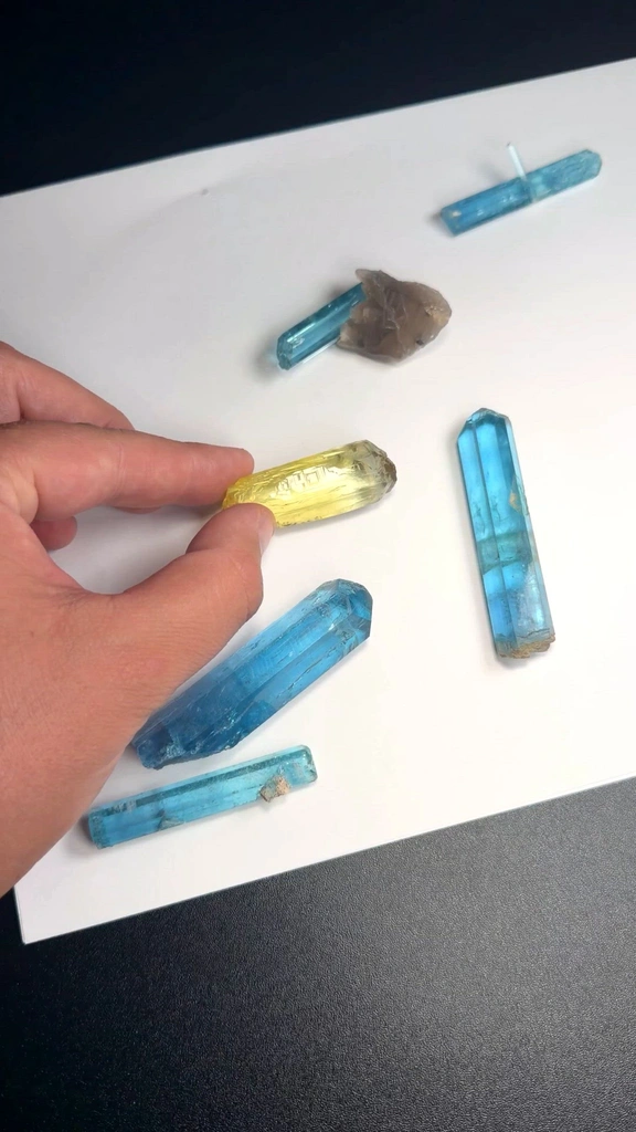 specimen video