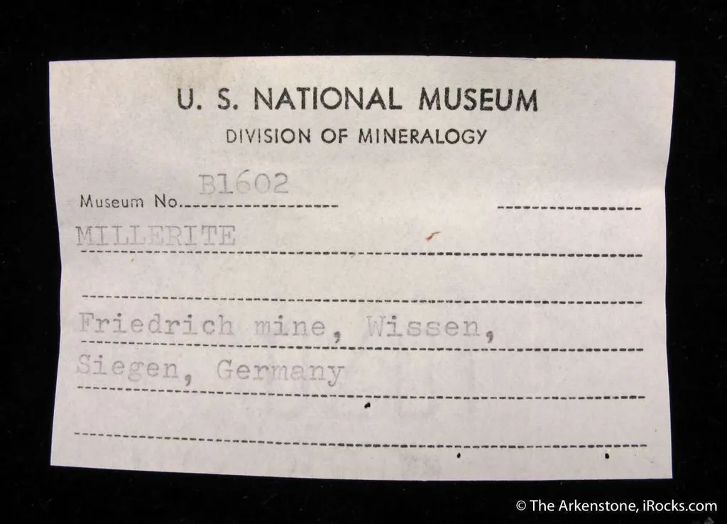 specimen