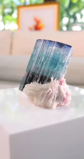 specimen video