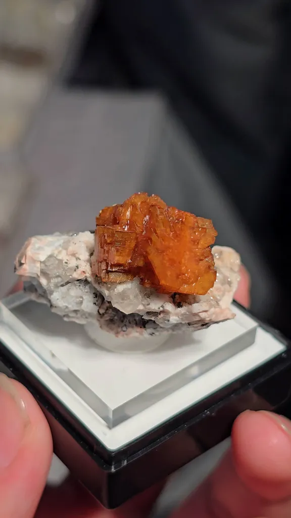specimen video