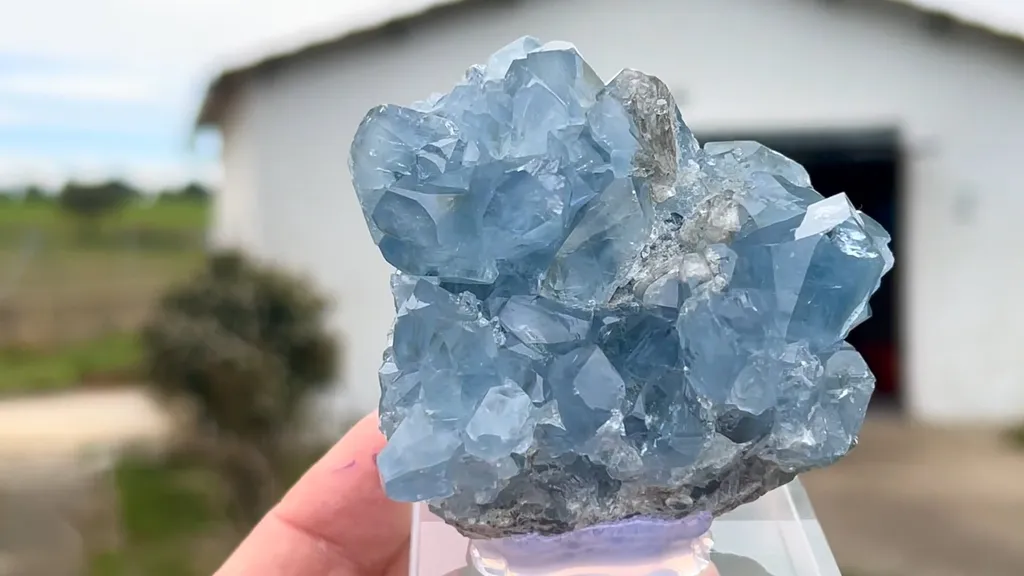 Celestine - image 5