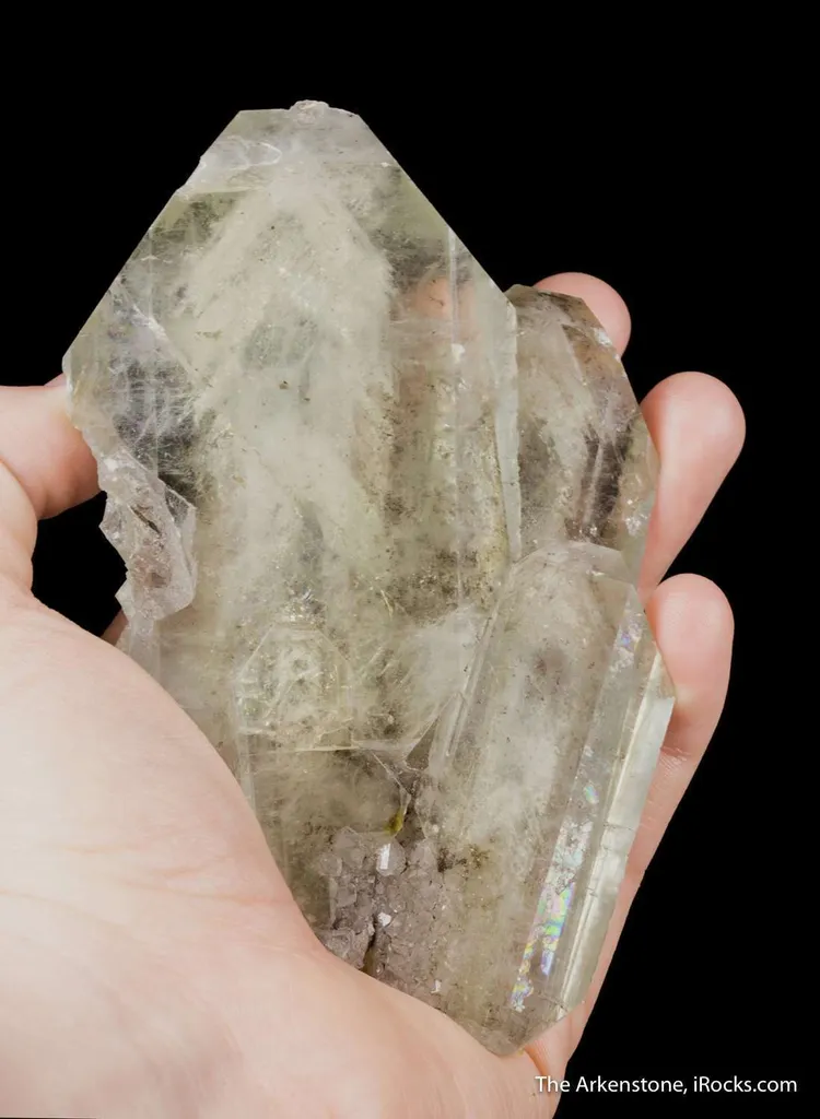 Celestine - image 6