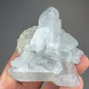 Celestine - image 2
