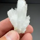 Celestine (1944) - image 2