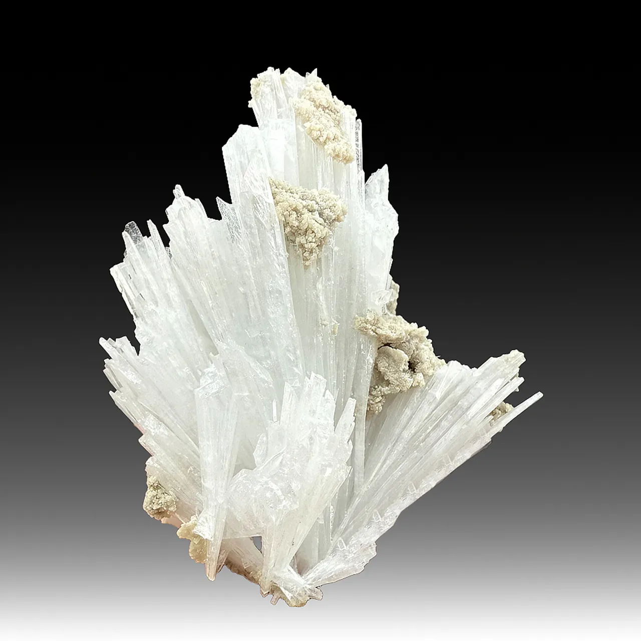 Celestine (1944) - image 1