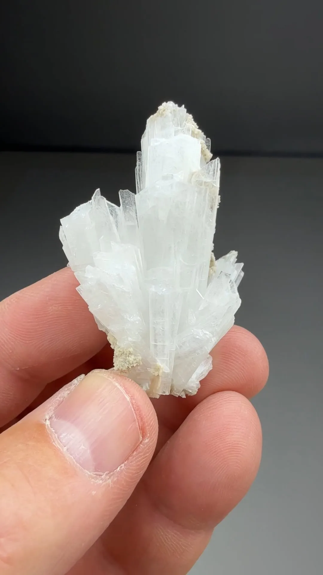 Celestine (1944) - image 2