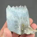 Celestine - image 2