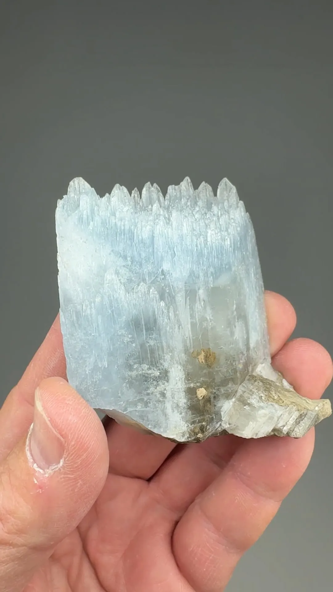 Celestine - image 2