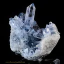Celestine - image 1