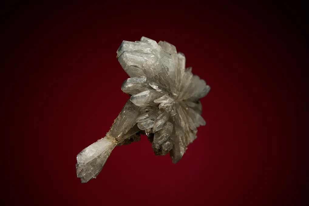 Celestine - image 3