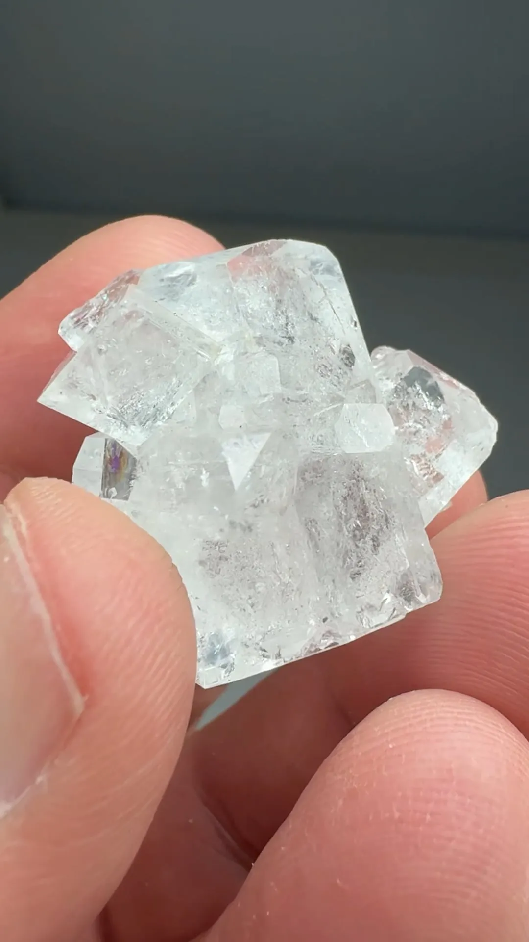 Celestine - image 2