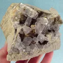 Celestine - image 1