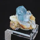 specimen video