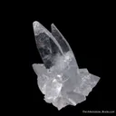 Celestine - image 4