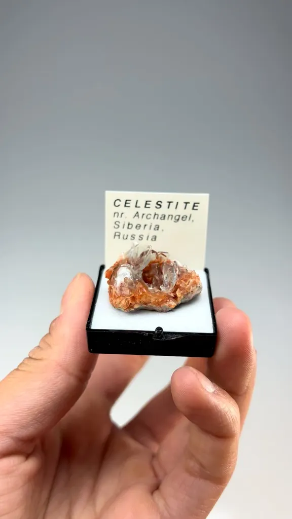 Celestine - image 2