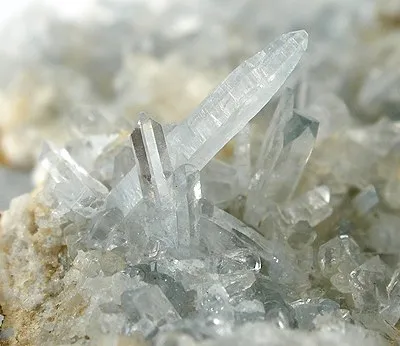 Celestine - image 2
