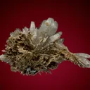 Celestine - image 2