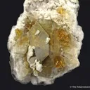 Celestine - image 3