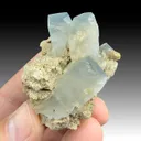 Celestine - image 1