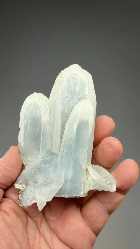 Celestine - image 2