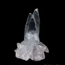 Celestine - image 3