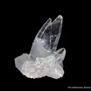 Celestine - image 1