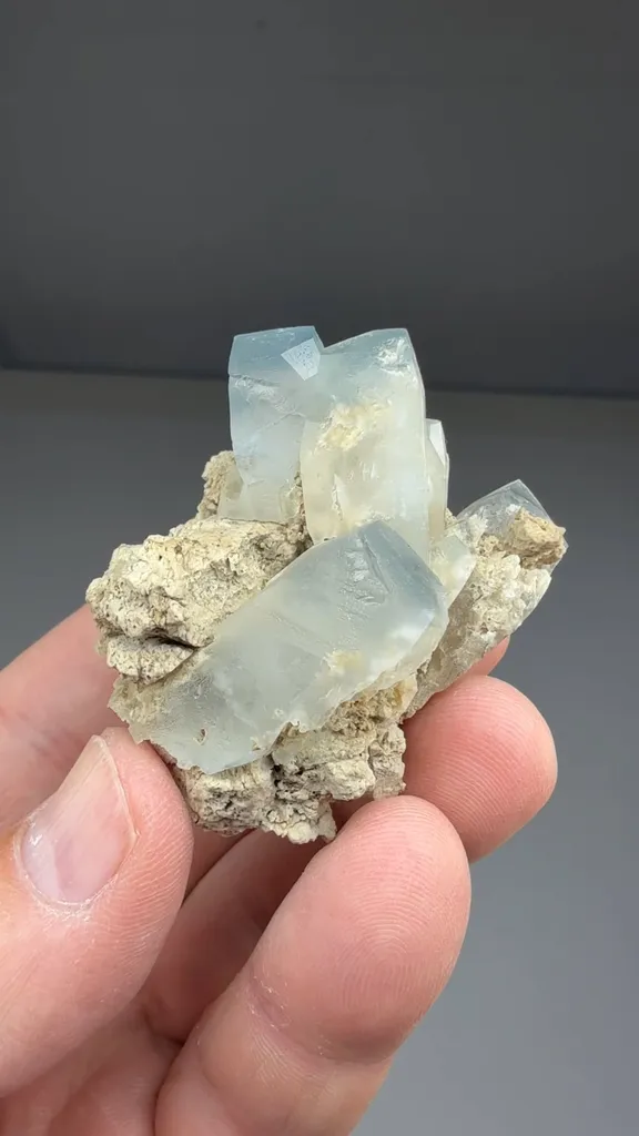 Celestine - image 2